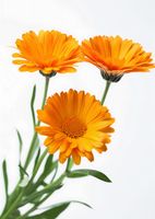 product-compare-59392133