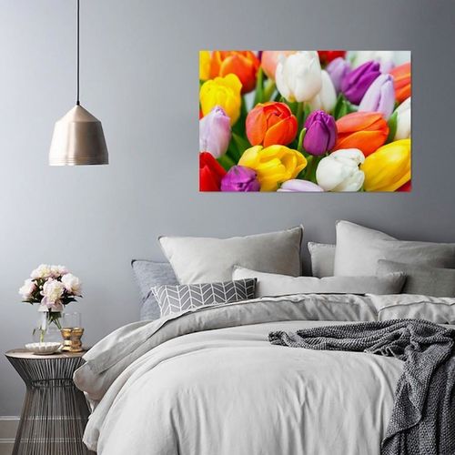 Deco Panel, Kolorowe tulipany 50x40 na Arena.pl