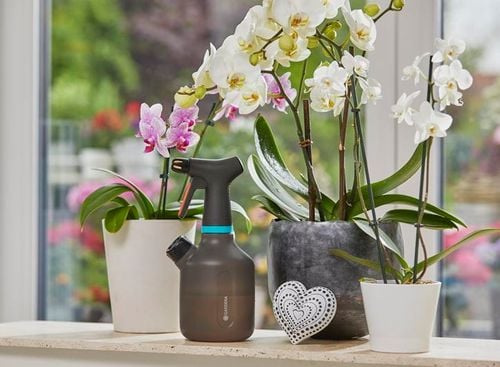 opryskiwacz ciśnieniowy 1 l - hg-11112-20 na Arena.pl