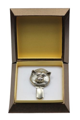 Akita Inu - klips - 2547 na Arena.pl