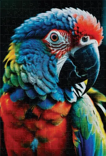 Puzzle 250 elementów. Colourful Nature 9. Papuga na Arena.pl