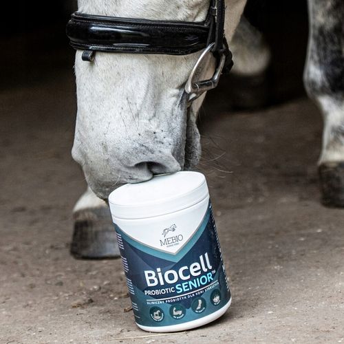 Suplement MEBIO Biocell Probiotic Senior 1kg probiotyk dla koni na Arena.pl