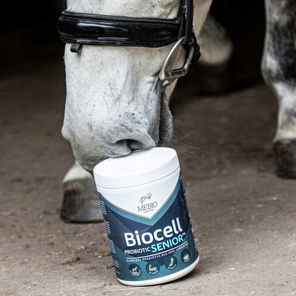 Suplement MEBIO Biocell Probiotic Senior 1kg probiotyk dla koni zdjęcie 2