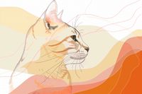 Plakat 91,5x61cm Delikatny Profil Kota