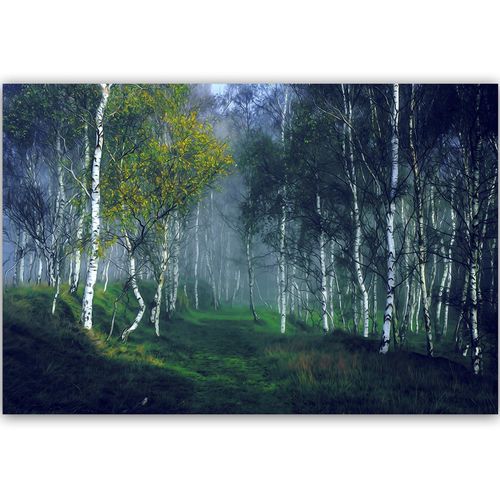 Deco Panel, Brzozy we mgle 120x80 na Arena.pl