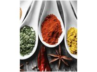 40X50CM SMAKI ŚWIATA OBRAZ