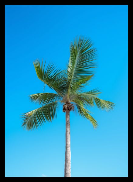 Plakat 25x35cm Wyżyny Nieba zdjęcie 2