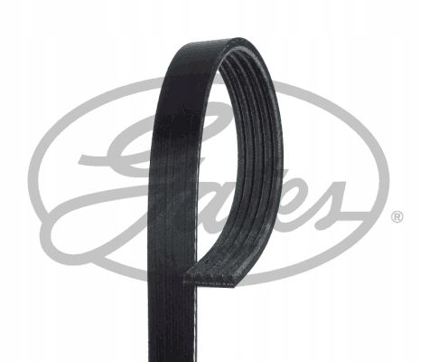 PASEK W/KLINOWY 5PK1236SF GATES na Arena.pl