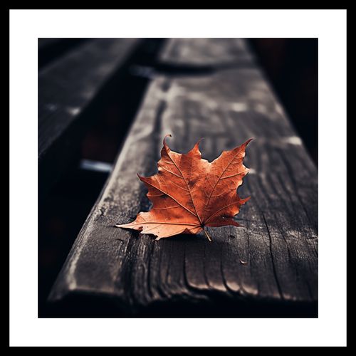 Plakat 30x30cm Pojedynczy Liść na Arena.pl