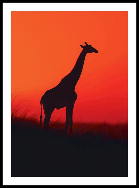 Plakat 42x59,4cm Żyrafa w Czerni zdjęcie 3