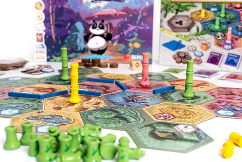 Gra Takenoko na Arena.pl