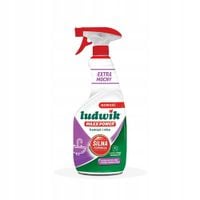 Ludwik Maxx Power spray do kamienia i rdzy 600 ml