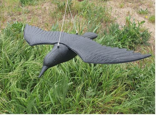 KRUK DUŻY NA BALKON ODSTRASZACZ PTAKÓW W LOCIE na Arena.pl