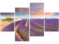 140CM 70 OBRAZ POLE LAWENDY ŚCIENNY