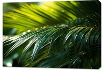 Obraz 100x70cm Zielona Kondensacja