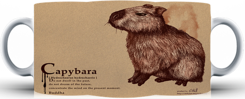 Kubek ceramiczny Kapibara na Arena.pl