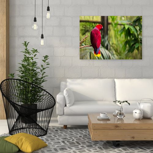 Deco Panel, Rajska papuga 120x80 na Arena.pl