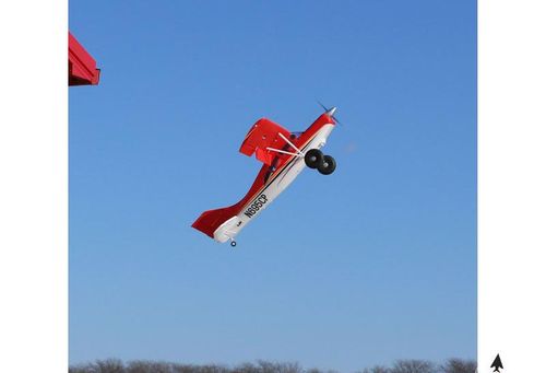 Maule 1.5m PNP na Arena.pl