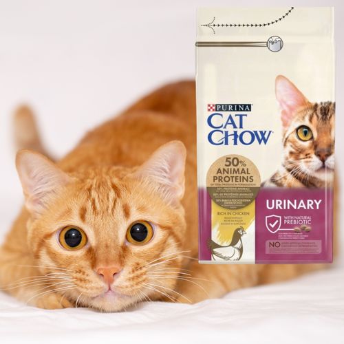 sucha karma dla kota cat chow kurczak z prebiotykiem 15 kg + 1.5 kg gratis na Arena.pl