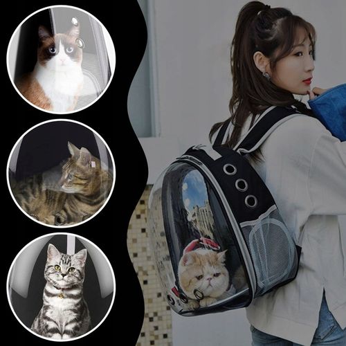 PLECAK DLA KOTA PSA TRANSPORTER PRZEZROCZYSTY WENTYLOWANY NA PSA NA KOTA na Arena.pl