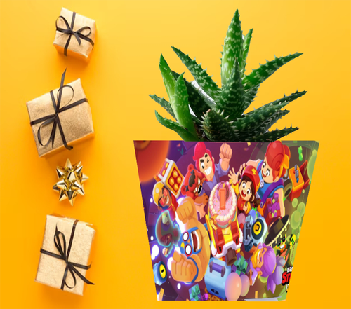 Doniczka do kwiatów - Brawl Stars na Arena.pl