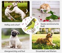 zabawka dla psa papuga