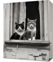 Obraz 40x50cm Para w Oknie