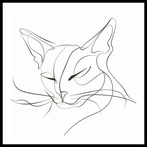 Plakat 70x70cm Linijny Kot na Arena.pl