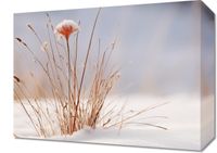 Obraz 40x30cm Zima w Detalach