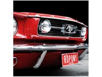 50X50CM RED MUSTANG Y OBRAZ