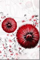 80CM 120 OBRAZ CZERWONE DMUCHAWCE ŚCIENNY