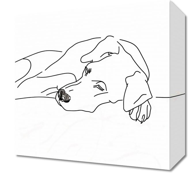 Obraz 30x30cm Wypoczynek Psiaka zdjęcie 1