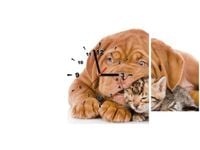 product-compare-58617405