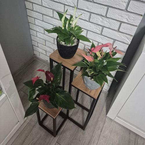 Kwietnik Stojący 67Cm Ruhhy 25626 na Arena.pl