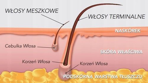 ITALWAX perełki dropsy wosk do depilacji white 1KG na Arena.pl