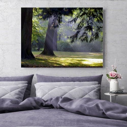 Obraz na płótnie - Canvas, Drzewa w parku 60x40 na Arena.pl
