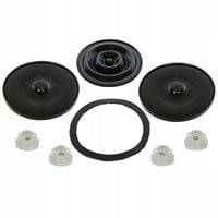 Zestaw naprawczy pompy PILMET P-60 Opryskiwacz