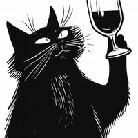 Plakat 50x50cm Koci Wirtuoz