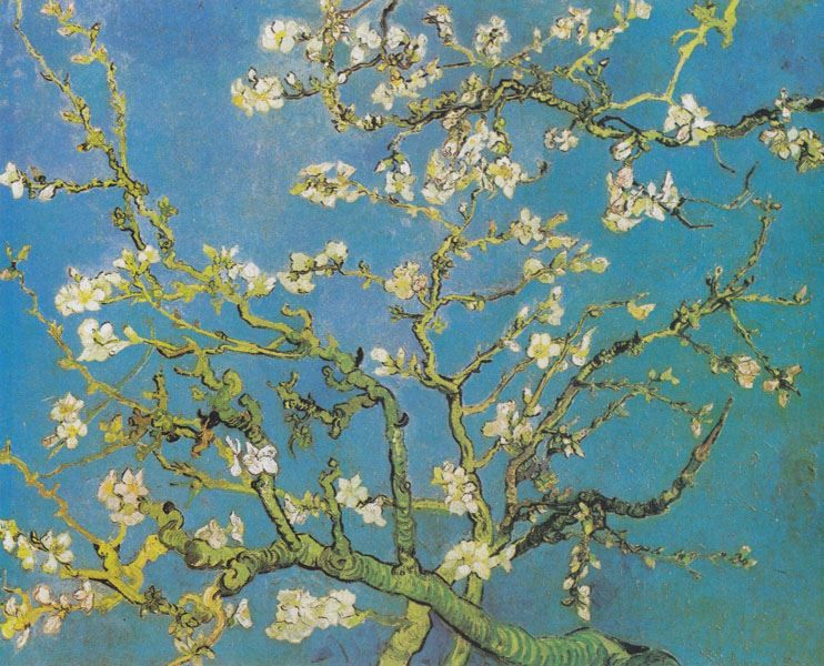 Migdałowiec Van Gogh - plakat 100x70 cm zdjęcie 1