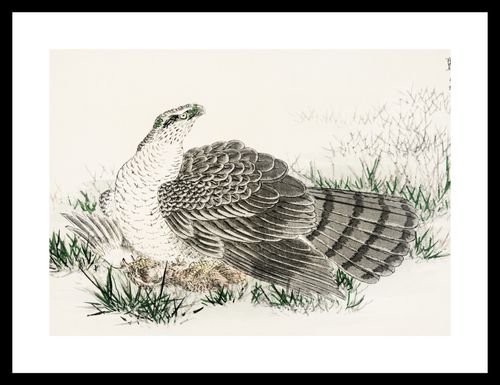 Plakat 35x25cm  Hawk-Eagle, Kashu Japoński Vintage do Salonu na Arena.pl