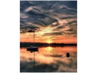 product-compare-58648824