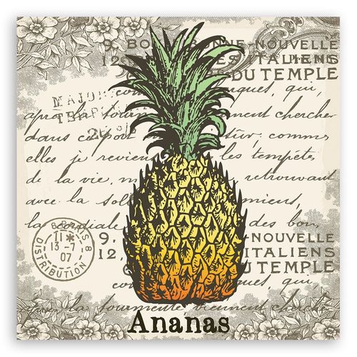 Emaga Obraz na płótnie, Ananas vintage - 50x50 na Arena.pl