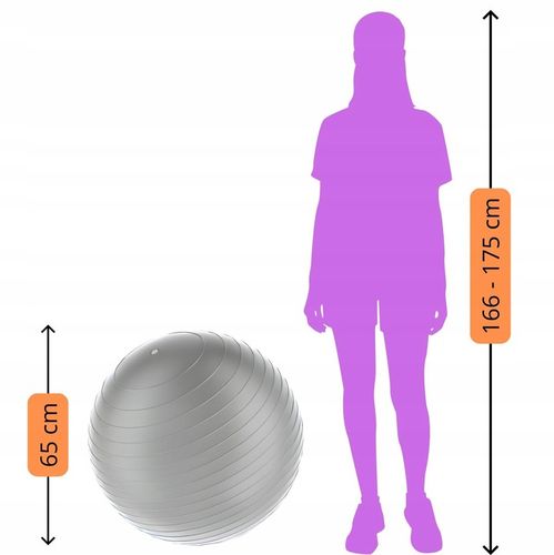 Piłka Gimnastyczna WZMOCNIONA Rehabilitacyjna Anti-Burst 65cm + Pompka na Arena.pl