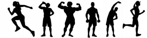 KFD PREMIUM CREATINE 500 G KREATYNA MONOHYDRAT MOJITO na Arena.pl