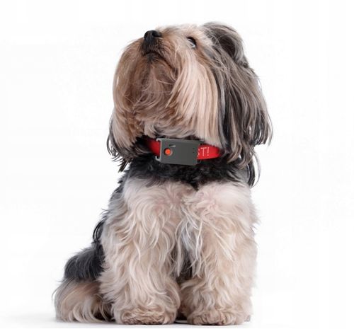 MINI LOKALIZATOR GPS TRACKER SINOTRACK ST904 PODSŁUCH SOS 15DNI 1200mah APP na Arena.pl