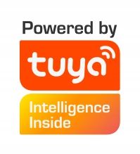 Żarówka LED C37 E14 SMART 5W RGB WW CW Wi-Fi TUYA SuperLED na Arena.pl