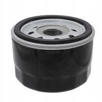 FILTR OLEJU BRIGGS STRATTON KOSIARKI TRAKTOREK 492932 696854 KRÓTKI NISKI