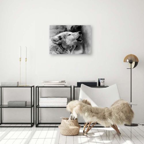 Plakat, Wilk we mgle 60x40 na Arena.pl