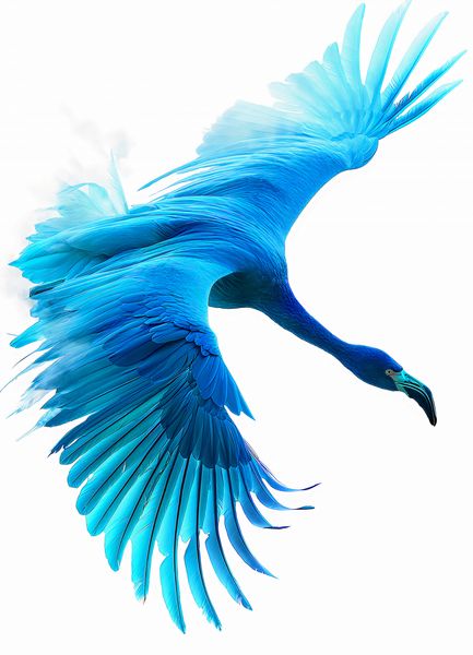 Plakat 13x18cm Błękitny Lot zdjęcie 1