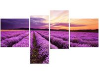 product-compare-58711071